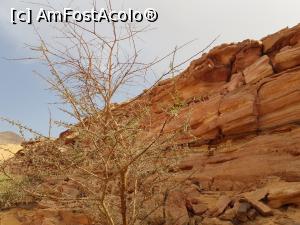 [P01] Canionul colorat – o minune a naturii - roci colorate » foto by nicole33
 - 
<span class="allrVoted glyphicon glyphicon-heart hidden" id="av1331298"></span>
<a class="m-l-10 hidden" id="sv1331298" onclick="voting_Foto_DelVot(,1331298,385)" role="button">șterge vot <span class="glyphicon glyphicon-remove"></span></a>
<a id="v91331298" class=" c-red"  onclick="voting_Foto_SetVot(1331298)" role="button"><span class="glyphicon glyphicon-heart-empty"></span> <b>LIKE</b> = Votează poza</a> <img class="hidden"  id="f1331298W9" src="/imagini/loader.gif" border="0" /><span class="AjErrMes hidden" id="e1331298ErM"></span>