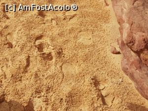 [P23] Canionul colorat – o minune a naturii, păşind pe nisipul udat de o ploaie scurtă » foto by nicole33
 - 
<span class="allrVoted glyphicon glyphicon-heart hidden" id="av1331320"></span>
<a class="m-l-10 hidden" id="sv1331320" onclick="voting_Foto_DelVot(,1331320,385)" role="button">șterge vot <span class="glyphicon glyphicon-remove"></span></a>
<a id="v91331320" class=" c-red"  onclick="voting_Foto_SetVot(1331320)" role="button"><span class="glyphicon glyphicon-heart-empty"></span> <b>LIKE</b> = Votează poza</a> <img class="hidden"  id="f1331320W9" src="/imagini/loader.gif" border="0" /><span class="AjErrMes hidden" id="e1331320ErM"></span>