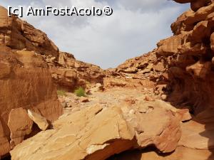 [P41] Canionul colorat – o minune a naturii, prin canion » foto by nicole33
 - 
<span class="allrVoted glyphicon glyphicon-heart hidden" id="av1331338"></span>
<a class="m-l-10 hidden" id="sv1331338" onclick="voting_Foto_DelVot(,1331338,385)" role="button">șterge vot <span class="glyphicon glyphicon-remove"></span></a>
<a id="v91331338" class=" c-red"  onclick="voting_Foto_SetVot(1331338)" role="button"><span class="glyphicon glyphicon-heart-empty"></span> <b>LIKE</b> = Votează poza</a> <img class="hidden"  id="f1331338W9" src="/imagini/loader.gif" border="0" /><span class="AjErrMes hidden" id="e1331338ErM"></span>