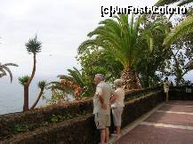 [P54] Promenada pe tarimul Atlanticului-vegetatie de vis » foto by vvg
 - 
<span class="allrVoted glyphicon glyphicon-heart hidden" id="av302018"></span>
<a class="m-l-10 hidden" id="sv302018" onclick="voting_Foto_DelVot(,302018,398)" role="button">șterge vot <span class="glyphicon glyphicon-remove"></span></a>
<a id="v9302018" class=" c-red"  onclick="voting_Foto_SetVot(302018)" role="button"><span class="glyphicon glyphicon-heart-empty"></span> <b>LIKE</b> = Votează poza</a> <img class="hidden"  id="f302018W9" src="/imagini/loader.gif" border="0" /><span class="AjErrMes hidden" id="e302018ErM"></span>