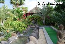 [P22] Gradina de la Regency Country Club » foto by crista
 - 
<span class="allrVoted glyphicon glyphicon-heart hidden" id="av8033"></span>
<a class="m-l-10 hidden" id="sv8033" onclick="voting_Foto_DelVot(,8033,398)" role="button">șterge vot <span class="glyphicon glyphicon-remove"></span></a>
<a id="v98033" class=" c-red"  onclick="voting_Foto_SetVot(8033)" role="button"><span class="glyphicon glyphicon-heart-empty"></span> <b>LIKE</b> = Votează poza</a> <img class="hidden"  id="f8033W9" src="/imagini/loader.gif" border="0" /><span class="AjErrMes hidden" id="e8033ErM"></span>