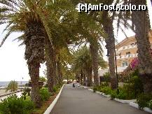 [P08] faleza care leaga statiunile Los Cristianos-Las Americas-Costa Adeje » foto by andrefashion
 - 
<span class="allrVoted glyphicon glyphicon-heart hidden" id="av77587"></span>
<a class="m-l-10 hidden" id="sv77587" onclick="voting_Foto_DelVot(,77587,398)" role="button">șterge vot <span class="glyphicon glyphicon-remove"></span></a>
<a id="v977587" class=" c-red"  onclick="voting_Foto_SetVot(77587)" role="button"><span class="glyphicon glyphicon-heart-empty"></span> <b>LIKE</b> = Votează poza</a> <img class="hidden"  id="f77587W9" src="/imagini/loader.gif" border="0" /><span class="AjErrMes hidden" id="e77587ErM"></span>