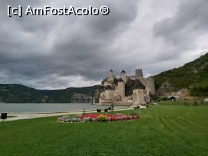 [P01] Cetatea Golubac » foto by MONITA
 - 
<span class="allrVoted glyphicon glyphicon-heart hidden" id="av1253228"></span>
<a class="m-l-10 hidden" id="sv1253228" onclick="voting_Foto_DelVot(,1253228,399)" role="button">șterge vot <span class="glyphicon glyphicon-remove"></span></a>
<a id="v91253228" class=" c-red"  onclick="voting_Foto_SetVot(1253228)" role="button"><span class="glyphicon glyphicon-heart-empty"></span> <b>LIKE</b> = Votează poza</a> <img class="hidden"  id="f1253228W9" src="/imagini/loader.gif" border="0" /><span class="AjErrMes hidden" id="e1253228ErM"></span>