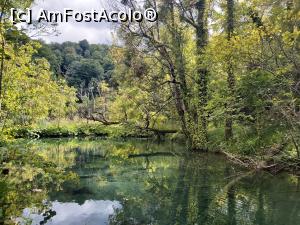 [P14] Parcul national Plitvice » foto by MONITA
 - 
<span class="allrVoted glyphicon glyphicon-heart hidden" id="av1253241"></span>
<a class="m-l-10 hidden" id="sv1253241" onclick="voting_Foto_DelVot(,1253241,399)" role="button">șterge vot <span class="glyphicon glyphicon-remove"></span></a>
<a id="v91253241" class=" c-red"  onclick="voting_Foto_SetVot(1253241)" role="button"><span class="glyphicon glyphicon-heart-empty"></span> <b>LIKE</b> = Votează poza</a> <img class="hidden"  id="f1253241W9" src="/imagini/loader.gif" border="0" /><span class="AjErrMes hidden" id="e1253241ErM"></span>