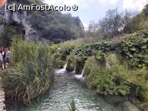 [P06] Parcul national Plitvice » foto by MONITA
 - 
<span class="allrVoted glyphicon glyphicon-heart hidden" id="av1253233"></span>
<a class="m-l-10 hidden" id="sv1253233" onclick="voting_Foto_DelVot(,1253233,399)" role="button">șterge vot <span class="glyphicon glyphicon-remove"></span></a>
<a id="v91253233" class=" c-red"  onclick="voting_Foto_SetVot(1253233)" role="button"><span class="glyphicon glyphicon-heart-empty"></span> <b>LIKE</b> = Votează poza</a> <img class="hidden"  id="f1253233W9" src="/imagini/loader.gif" border="0" /><span class="AjErrMes hidden" id="e1253233ErM"></span>