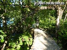 [P27] Plitivice » foto by vioghi
 - 
<span class="allrVoted glyphicon glyphicon-heart hidden" id="av185809"></span>
<a class="m-l-10 hidden" id="sv185809" onclick="voting_Foto_DelVot(,185809,399)" role="button">șterge vot <span class="glyphicon glyphicon-remove"></span></a>
<a id="v9185809" class=" c-red"  onclick="voting_Foto_SetVot(185809)" role="button"><span class="glyphicon glyphicon-heart-empty"></span> <b>LIKE</b> = Votează poza</a> <img class="hidden"  id="f185809W9" src="/imagini/loader.gif" border="0" /><span class="AjErrMes hidden" id="e185809ErM"></span>