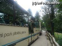 [P20] autobuzele care transporta turistii in parc » foto by marocanu21
 - 
<span class="allrVoted glyphicon glyphicon-heart hidden" id="av407521"></span>
<a class="m-l-10 hidden" id="sv407521" onclick="voting_Foto_DelVot(,407521,399)" role="button">șterge vot <span class="glyphicon glyphicon-remove"></span></a>
<a id="v9407521" class=" c-red"  onclick="voting_Foto_SetVot(407521)" role="button"><span class="glyphicon glyphicon-heart-empty"></span> <b>LIKE</b> = Votează poza</a> <img class="hidden"  id="f407521W9" src="/imagini/loader.gif" border="0" /><span class="AjErrMes hidden" id="e407521ErM"></span>
