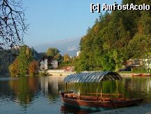 [P8x] Slovenia, orselul Bled, in vest, langa Austria... 
 » foto by barboneli
 - 
<span class="allrVoted glyphicon glyphicon-heart hidden" id="av1229"></span>
<a class="m-l-10 hidden" id="sv1229" onclick="voting_Foto_DelVot(,1229,399)" role="button">șterge vot <span class="glyphicon glyphicon-remove"></span></a>
<a id="v91229" class=" c-red"  onclick="voting_Foto_SetVot(1229)" role="button"><span class="glyphicon glyphicon-heart-empty"></span> <b>LIKE</b> = Votează poza</a> <img class="hidden"  id="f1229W9" src="/imagini/loader.gif" border="0" /><span class="AjErrMes hidden" id="e1229ErM"></span>