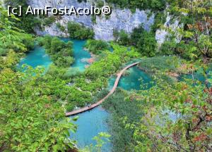 [P17] Punct de belvedere la Plitvice » foto by BOGDAN DSN
 - 
<span class="allrVoted glyphicon glyphicon-heart hidden" id="av1263945"></span>
<a class="m-l-10 hidden" id="sv1263945" onclick="voting_Foto_DelVot(,1263945,399)" role="button">șterge vot <span class="glyphicon glyphicon-remove"></span></a>
<a id="v91263945" class=" c-red"  onclick="voting_Foto_SetVot(1263945)" role="button"><span class="glyphicon glyphicon-heart-empty"></span> <b>LIKE</b> = Votează poza</a> <img class="hidden"  id="f1263945W9" src="/imagini/loader.gif" border="0" /><span class="AjErrMes hidden" id="e1263945ErM"></span>