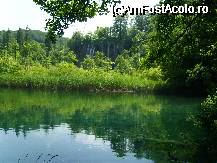 [P12] lacuri,cascade,pesti- racoarea rezervatiei Plitvice » foto by marius gaudi*
 - 
<span class="allrVoted glyphicon glyphicon-heart hidden" id="av45451"></span>
<a class="m-l-10 hidden" id="sv45451" onclick="voting_Foto_DelVot(,45451,399)" role="button">șterge vot <span class="glyphicon glyphicon-remove"></span></a>
<a id="v945451" class=" c-red"  onclick="voting_Foto_SetVot(45451)" role="button"><span class="glyphicon glyphicon-heart-empty"></span> <b>LIKE</b> = Votează poza</a> <img class="hidden"  id="f45451W9" src="/imagini/loader.gif" border="0" /><span class="AjErrMes hidden" id="e45451ErM"></span>