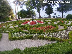 [P07] Explozie florala in parc, langa malul marii.  » foto by liviu49
 - 
<span class="allrVoted glyphicon glyphicon-heart hidden" id="av640033"></span>
<a class="m-l-10 hidden" id="sv640033" onclick="voting_Foto_DelVot(,640033,399)" role="button">șterge vot <span class="glyphicon glyphicon-remove"></span></a>
<a id="v9640033" class=" c-red"  onclick="voting_Foto_SetVot(640033)" role="button"><span class="glyphicon glyphicon-heart-empty"></span> <b>LIKE</b> = Votează poza</a> <img class="hidden"  id="f640033W9" src="/imagini/loader.gif" border="0" /><span class="AjErrMes hidden" id="e640033ErM"></span>