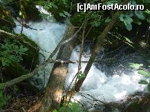 [P12] parcul national plitvice croatia » foto by paula mirela
 - 
<span class="allrVoted glyphicon glyphicon-heart hidden" id="av342019"></span>
<a class="m-l-10 hidden" id="sv342019" onclick="voting_Foto_DelVot(,342019,399)" role="button">șterge vot <span class="glyphicon glyphicon-remove"></span></a>
<a id="v9342019" class=" c-red"  onclick="voting_Foto_SetVot(342019)" role="button"><span class="glyphicon glyphicon-heart-empty"></span> <b>LIKE</b> = Votează poza</a> <img class="hidden"  id="f342019W9" src="/imagini/loader.gif" border="0" /><span class="AjErrMes hidden" id="e342019ErM"></span>