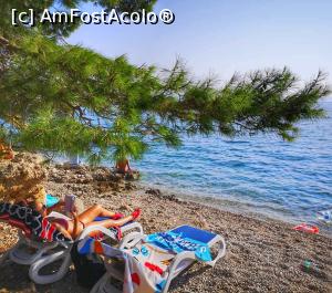 [P11] Coasta Dalmată - Makarska » foto by crisa04
 - 
<span class="allrVoted glyphicon glyphicon-heart hidden" id="av1184973"></span>
<a class="m-l-10 hidden" id="sv1184973" onclick="voting_Foto_DelVot(,1184973,399)" role="button">șterge vot <span class="glyphicon glyphicon-remove"></span></a>
<a id="v91184973" class=" c-red"  onclick="voting_Foto_SetVot(1184973)" role="button"><span class="glyphicon glyphicon-heart-empty"></span> <b>LIKE</b> = Votează poza</a> <img class="hidden"  id="f1184973W9" src="/imagini/loader.gif" border="0" /><span class="AjErrMes hidden" id="e1184973ErM"></span>