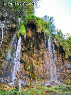 [P22] Parcul Plitvice » foto by crisa04
 - 
<span class="allrVoted glyphicon glyphicon-heart hidden" id="av1184984"></span>
<a class="m-l-10 hidden" id="sv1184984" onclick="voting_Foto_DelVot(,1184984,399)" role="button">șterge vot <span class="glyphicon glyphicon-remove"></span></a>
<a id="v91184984" class=" c-red"  onclick="voting_Foto_SetVot(1184984)" role="button"><span class="glyphicon glyphicon-heart-empty"></span> <b>LIKE</b> = Votează poza</a> <img class="hidden"  id="f1184984W9" src="/imagini/loader.gif" border="0" /><span class="AjErrMes hidden" id="e1184984ErM"></span>