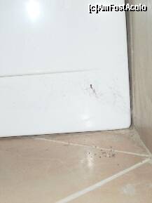 [P11] Hotel Gergana, 'musafirul' din baie, împreună cu resturile festinelor sale. Cam în cât timp o fi păpat el atâtea gâze? » foto by Dragoș_MD
 - 
<span class="allrVoted glyphicon glyphicon-heart hidden" id="av232182"></span>
<a class="m-l-10 hidden" id="sv232182" onclick="voting_Foto_DelVot(,232182,404)" role="button">șterge vot <span class="glyphicon glyphicon-remove"></span></a>
<a id="v9232182" class=" c-red"  onclick="voting_Foto_SetVot(232182)" role="button"><span class="glyphicon glyphicon-heart-empty"></span> <b>LIKE</b> = Votează poza</a> <img class="hidden"  id="f232182W9" src="/imagini/loader.gif" border="0" /><span class="AjErrMes hidden" id="e232182ErM"></span>