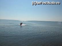 [P27] mare linistita 2 » foto by mmn
 - 
<span class="allrVoted glyphicon glyphicon-heart hidden" id="av93010"></span>
<a class="m-l-10 hidden" id="sv93010" onclick="voting_Foto_DelVot(,93010,404)" role="button">șterge vot <span class="glyphicon glyphicon-remove"></span></a>
<a id="v993010" class=" c-red"  onclick="voting_Foto_SetVot(93010)" role="button"><span class="glyphicon glyphicon-heart-empty"></span> <b>LIKE</b> = Votează poza</a> <img class="hidden"  id="f93010W9" src="/imagini/loader.gif" border="0" /><span class="AjErrMes hidden" id="e93010ErM"></span>
