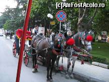 [P44] caleasca cu cai » foto by mmn
 - 
<span class="allrVoted glyphicon glyphicon-heart hidden" id="av93027"></span>
<a class="m-l-10 hidden" id="sv93027" onclick="voting_Foto_DelVot(,93027,404)" role="button">șterge vot <span class="glyphicon glyphicon-remove"></span></a>
<a id="v993027" class=" c-red"  onclick="voting_Foto_SetVot(93027)" role="button"><span class="glyphicon glyphicon-heart-empty"></span> <b>LIKE</b> = Votează poza</a> <img class="hidden"  id="f93027W9" src="/imagini/loader.gif" border="0" /><span class="AjErrMes hidden" id="e93027ErM"></span>