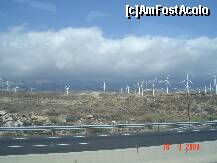 [P19] pe autostrada in drum spre capitala » foto by Yonyka
 - 
<span class="allrVoted glyphicon glyphicon-heart hidden" id="av130854"></span>
<a class="m-l-10 hidden" id="sv130854" onclick="voting_Foto_DelVot(,130854,405)" role="button">șterge vot <span class="glyphicon glyphicon-remove"></span></a>
<a id="v9130854" class=" c-red"  onclick="voting_Foto_SetVot(130854)" role="button"><span class="glyphicon glyphicon-heart-empty"></span> <b>LIKE</b> = Votează poza</a> <img class="hidden"  id="f130854W9" src="/imagini/loader.gif" border="0" /><span class="AjErrMes hidden" id="e130854ErM"></span>