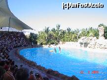 [P23] spectacol cu delfini in Loro Parc » foto by Yonyka
 - 
<span class="allrVoted glyphicon glyphicon-heart hidden" id="av130858"></span>
<a class="m-l-10 hidden" id="sv130858" onclick="voting_Foto_DelVot(,130858,405)" role="button">șterge vot <span class="glyphicon glyphicon-remove"></span></a>
<a id="v9130858" class=" c-red"  onclick="voting_Foto_SetVot(130858)" role="button"><span class="glyphicon glyphicon-heart-empty"></span> <b>LIKE</b> = Votează poza</a> <img class="hidden"  id="f130858W9" src="/imagini/loader.gif" border="0" /><span class="AjErrMes hidden" id="e130858ErM"></span>
