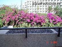 [P05] vedere din balcon » foto by Yonyka
 - 
<span class="allrVoted glyphicon glyphicon-heart hidden" id="av130533"></span>
<a class="m-l-10 hidden" id="sv130533" onclick="voting_Foto_DelVot(,130533,405)" role="button">șterge vot <span class="glyphicon glyphicon-remove"></span></a>
<a id="v9130533" class=" c-red"  onclick="voting_Foto_SetVot(130533)" role="button"><span class="glyphicon glyphicon-heart-empty"></span> <b>LIKE</b> = Votează poza</a> <img class="hidden"  id="f130533W9" src="/imagini/loader.gif" border="0" /><span class="AjErrMes hidden" id="e130533ErM"></span>