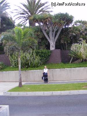[P09] Cam asa arata faleza la Los Americas. Vegetatia e sfanta in Tenerife.  » foto by Hertha
 - 
<span class="allrVoted glyphicon glyphicon-heart hidden" id="av360804"></span>
<a class="m-l-10 hidden" id="sv360804" onclick="voting_Foto_DelVot(,360804,405)" role="button">șterge vot <span class="glyphicon glyphicon-remove"></span></a>
<a id="v9360804" class=" c-red"  onclick="voting_Foto_SetVot(360804)" role="button"><span class="glyphicon glyphicon-heart-empty"></span> <b>LIKE</b> = Votează poza</a> <img class="hidden"  id="f360804W9" src="/imagini/loader.gif" border="0" /><span class="AjErrMes hidden" id="e360804ErM"></span>