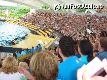 [P13] Loro Parque » foto by margareta
 - 
<span class="allrVoted glyphicon glyphicon-heart hidden" id="av15351"></span>
<a class="m-l-10 hidden" id="sv15351" onclick="voting_Foto_DelVot(,15351,405)" role="button">șterge vot <span class="glyphicon glyphicon-remove"></span></a>
<a id="v915351" class=" c-red"  onclick="voting_Foto_SetVot(15351)" role="button"><span class="glyphicon glyphicon-heart-empty"></span> <b>LIKE</b> = Votează poza</a> <img class="hidden"  id="f15351W9" src="/imagini/loader.gif" border="0" /><span class="AjErrMes hidden" id="e15351ErM"></span>