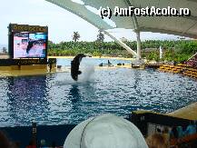 [P14] Loro Parque » foto by margareta
 - 
<span class="allrVoted glyphicon glyphicon-heart hidden" id="av15352"></span>
<a class="m-l-10 hidden" id="sv15352" onclick="voting_Foto_DelVot(,15352,405)" role="button">șterge vot <span class="glyphicon glyphicon-remove"></span></a>
<a id="v915352" class=" c-red"  onclick="voting_Foto_SetVot(15352)" role="button"><span class="glyphicon glyphicon-heart-empty"></span> <b>LIKE</b> = Votează poza</a> <img class="hidden"  id="f15352W9" src="/imagini/loader.gif" border="0" /><span class="AjErrMes hidden" id="e15352ErM"></span>