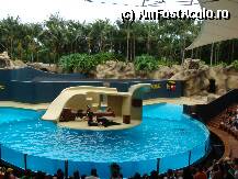 [P04] Loro Parque » foto by margareta
 - 
<span class="allrVoted glyphicon glyphicon-heart hidden" id="av15337"></span>
<a class="m-l-10 hidden" id="sv15337" onclick="voting_Foto_DelVot(,15337,405)" role="button">șterge vot <span class="glyphicon glyphicon-remove"></span></a>
<a id="v915337" class=" c-red"  onclick="voting_Foto_SetVot(15337)" role="button"><span class="glyphicon glyphicon-heart-empty"></span> <b>LIKE</b> = Votează poza</a> <img class="hidden"  id="f15337W9" src="/imagini/loader.gif" border="0" /><span class="AjErrMes hidden" id="e15337ErM"></span>