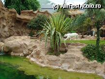 [P09] Loro Parque » foto by margareta
 - 
<span class="allrVoted glyphicon glyphicon-heart hidden" id="av15344"></span>
<a class="m-l-10 hidden" id="sv15344" onclick="voting_Foto_DelVot(,15344,405)" role="button">șterge vot <span class="glyphicon glyphicon-remove"></span></a>
<a id="v915344" class=" c-red"  onclick="voting_Foto_SetVot(15344)" role="button"><span class="glyphicon glyphicon-heart-empty"></span> <b>LIKE</b> = Votează poza</a> <img class="hidden"  id="f15344W9" src="/imagini/loader.gif" border="0" /><span class="AjErrMes hidden" id="e15344ErM"></span>