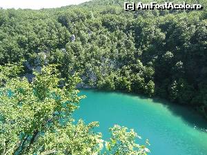 [P17] Lacul Novakovica » foto by Marian Preda
 - 
<span class="allrVoted glyphicon glyphicon-heart hidden" id="av560977"></span>
<a class="m-l-10 hidden" id="sv560977" onclick="voting_Foto_DelVot(,560977,412)" role="button">șterge vot <span class="glyphicon glyphicon-remove"></span></a>
<a id="v9560977" class=" c-red"  onclick="voting_Foto_SetVot(560977)" role="button"><span class="glyphicon glyphicon-heart-empty"></span> <b>LIKE</b> = Votează poza</a> <img class="hidden"  id="f560977W9" src="/imagini/loader.gif" border="0" /><span class="AjErrMes hidden" id="e560977ErM"></span>