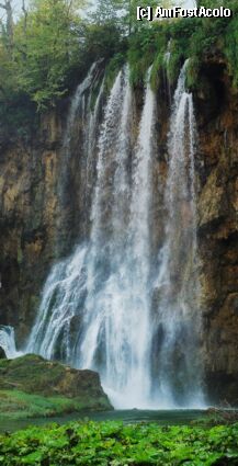 [P23] Parcul national Plitvice » foto by ambvision
 - 
<span class="allrVoted glyphicon glyphicon-heart hidden" id="av506"></span>
<a class="m-l-10 hidden" id="sv506" onclick="voting_Foto_DelVot(,506,412)" role="button">șterge vot <span class="glyphicon glyphicon-remove"></span></a>
<a id="v9506" class=" c-red"  onclick="voting_Foto_SetVot(506)" role="button"><span class="glyphicon glyphicon-heart-empty"></span> <b>LIKE</b> = Votează poza</a> <img class="hidden"  id="f506W9" src="/imagini/loader.gif" border="0" /><span class="AjErrMes hidden" id="e506ErM"></span>