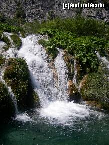 [P19] Plitvice 2008 iunie. » foto by velker tiberiu
 - 
<span class="allrVoted glyphicon glyphicon-heart hidden" id="av197652"></span>
<a class="m-l-10 hidden" id="sv197652" onclick="voting_Foto_DelVot(,197652,412)" role="button">șterge vot <span class="glyphicon glyphicon-remove"></span></a>
<a id="v9197652" class=" c-red"  onclick="voting_Foto_SetVot(197652)" role="button"><span class="glyphicon glyphicon-heart-empty"></span> <b>LIKE</b> = Votează poza</a> <img class="hidden"  id="f197652W9" src="/imagini/loader.gif" border="0" /><span class="AjErrMes hidden" id="e197652ErM"></span>