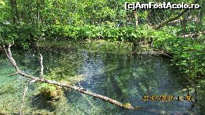 [P09] Parcul Plitvice (sau Paradisul Ceresc?)  » foto by crismis
 - 
<span class="allrVoted glyphicon glyphicon-heart hidden" id="av667780"></span>
<a class="m-l-10 hidden" id="sv667780" onclick="voting_Foto_DelVot(,667780,412)" role="button">șterge vot <span class="glyphicon glyphicon-remove"></span></a>
<a id="v9667780" class=" c-red"  onclick="voting_Foto_SetVot(667780)" role="button"><span class="glyphicon glyphicon-heart-empty"></span> <b>LIKE</b> = Votează poza</a> <img class="hidden"  id="f667780W9" src="/imagini/loader.gif" border="0" /><span class="AjErrMes hidden" id="e667780ErM"></span>
