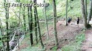 [P15] Parcul Național Lacurile Plitvice.  » foto by Aurici
 - 
<span class="allrVoted glyphicon glyphicon-heart hidden" id="av1026528"></span>
<a class="m-l-10 hidden" id="sv1026528" onclick="voting_Foto_DelVot(,1026528,412)" role="button">șterge vot <span class="glyphicon glyphicon-remove"></span></a>
<a id="v91026528" class=" c-red"  onclick="voting_Foto_SetVot(1026528)" role="button"><span class="glyphicon glyphicon-heart-empty"></span> <b>LIKE</b> = Votează poza</a> <img class="hidden"  id="f1026528W9" src="/imagini/loader.gif" border="0" /><span class="AjErrMes hidden" id="e1026528ErM"></span>