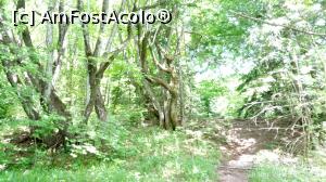 [P41] Parcul National Lacurile Plitvice.  » foto by Aurici
 - 
<span class="allrVoted glyphicon glyphicon-heart hidden" id="av1026554"></span>
<a class="m-l-10 hidden" id="sv1026554" onclick="voting_Foto_DelVot(,1026554,412)" role="button">șterge vot <span class="glyphicon glyphicon-remove"></span></a>
<a id="v91026554" class=" c-red"  onclick="voting_Foto_SetVot(1026554)" role="button"><span class="glyphicon glyphicon-heart-empty"></span> <b>LIKE</b> = Votează poza</a> <img class="hidden"  id="f1026554W9" src="/imagini/loader.gif" border="0" /><span class="AjErrMes hidden" id="e1026554ErM"></span>