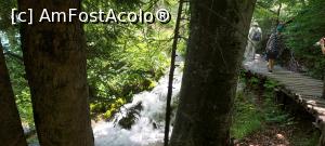[P12] 12. ... ce vine din lacul de deasupra. » foto by msnd
 - 
<span class="allrVoted glyphicon glyphicon-heart hidden" id="av1261094"></span>
<a class="m-l-10 hidden" id="sv1261094" onclick="voting_Foto_DelVot(,1261094,412)" role="button">șterge vot <span class="glyphicon glyphicon-remove"></span></a>
<a id="v91261094" class=" c-red"  onclick="voting_Foto_SetVot(1261094)" role="button"><span class="glyphicon glyphicon-heart-empty"></span> <b>LIKE</b> = Votează poza</a> <img class="hidden"  id="f1261094W9" src="/imagini/loader.gif" border="0" /><span class="AjErrMes hidden" id="e1261094ErM"></span>