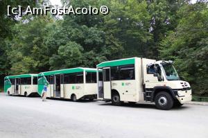 [P42] 42. „Trenulețul” este un „kiki - car” ceva mai mare. (preluare de pe internet). » foto by msnd <span class="label label-default labelC_thin small">NEVOTABILĂ</span>
