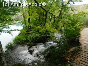 [P30] Punţi peste mici cascade » foto by irinad
 - 
<span class="allrVoted glyphicon glyphicon-heart hidden" id="av1250297"></span>
<a class="m-l-10 hidden" id="sv1250297" onclick="voting_Foto_DelVot(,1250297,412)" role="button">șterge vot <span class="glyphicon glyphicon-remove"></span></a>
<a id="v91250297" class=" c-red"  onclick="voting_Foto_SetVot(1250297)" role="button"><span class="glyphicon glyphicon-heart-empty"></span> <b>LIKE</b> = Votează poza</a> <img class="hidden"  id="f1250297W9" src="/imagini/loader.gif" border="0" /><span class="AjErrMes hidden" id="e1250297ErM"></span>