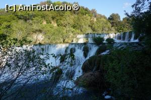 [P19] Tot mai aproape de spectacol » foto by GIN2015*
 - 
<span class="allrVoted glyphicon glyphicon-heart hidden" id="av871360"></span>
<a class="m-l-10 hidden" id="sv871360" onclick="voting_Foto_DelVot(,871360,413)" role="button">șterge vot <span class="glyphicon glyphicon-remove"></span></a>
<a id="v9871360" class=" c-red"  onclick="voting_Foto_SetVot(871360)" role="button"><span class="glyphicon glyphicon-heart-empty"></span> <b>LIKE</b> = Votează poza</a> <img class="hidden"  id="f871360W9" src="/imagini/loader.gif" border="0" /><span class="AjErrMes hidden" id="e871360ErM"></span>