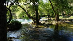 [P05] O pădure din povești » foto by GIN2015*
 - 
<span class="allrVoted glyphicon glyphicon-heart hidden" id="av871307"></span>
<a class="m-l-10 hidden" id="sv871307" onclick="voting_Foto_DelVot(,871307,413)" role="button">șterge vot <span class="glyphicon glyphicon-remove"></span></a>
<a id="v9871307" class=" c-red"  onclick="voting_Foto_SetVot(871307)" role="button"><span class="glyphicon glyphicon-heart-empty"></span> <b>LIKE</b> = Votează poza</a> <img class="hidden"  id="f871307W9" src="/imagini/loader.gif" border="0" /><span class="AjErrMes hidden" id="e871307ErM"></span>