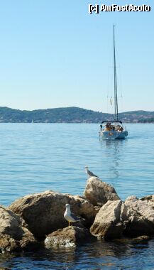 [P53] Zadar » foto by ambvision
 - 
<span class="allrVoted glyphicon glyphicon-heart hidden" id="av536"></span>
<a class="m-l-10 hidden" id="sv536" onclick="voting_Foto_DelVot(,536,414)" role="button">șterge vot <span class="glyphicon glyphicon-remove"></span></a>
<a id="v9536" class=" c-red"  onclick="voting_Foto_SetVot(536)" role="button"><span class="glyphicon glyphicon-heart-empty"></span> <b>LIKE</b> = Votează poza</a> <img class="hidden"  id="f536W9" src="/imagini/loader.gif" border="0" /><span class="AjErrMes hidden" id="e536ErM"></span>