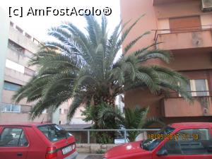 [P54] Unul din palmierii de pe malul orasului nou.  » foto by elviramvio
 - 
<span class="allrVoted glyphicon glyphicon-heart hidden" id="av869870"></span>
<a class="m-l-10 hidden" id="sv869870" onclick="voting_Foto_DelVot(,869870,414)" role="button">șterge vot <span class="glyphicon glyphicon-remove"></span></a>
<a id="v9869870" class=" c-red"  onclick="voting_Foto_SetVot(869870)" role="button"><span class="glyphicon glyphicon-heart-empty"></span> <b>LIKE</b> = Votează poza</a> <img class="hidden"  id="f869870W9" src="/imagini/loader.gif" border="0" /><span class="AjErrMes hidden" id="e869870ErM"></span>