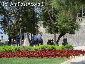 [P57] Daca va luati de trecatori, suntem 3 la 1 si inarmati.  » foto by elviramvio
 - 
<span class="allrVoted glyphicon glyphicon-heart hidden" id="av869887"></span>
<a class="m-l-10 hidden" id="sv869887" onclick="voting_Foto_DelVot(,869887,414)" role="button">șterge vot <span class="glyphicon glyphicon-remove"></span></a>
<a id="v9869887" class=" c-red"  onclick="voting_Foto_SetVot(869887)" role="button"><span class="glyphicon glyphicon-heart-empty"></span> <b>LIKE</b> = Votează poza</a> <img class="hidden"  id="f869887W9" src="/imagini/loader.gif" border="0" /><span class="AjErrMes hidden" id="e869887ErM"></span>