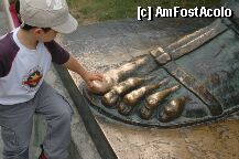 [P64] Legenda spune ca daca atingi degetul mare al statuii, vei avea noroc » foto by ambvision
 - 
<span class="allrVoted glyphicon glyphicon-heart hidden" id="av554"></span>
<a class="m-l-10 hidden" id="sv554" onclick="voting_Foto_DelVot(,554,415)" role="button">șterge vot <span class="glyphicon glyphicon-remove"></span></a>
<a id="v9554" class=" c-red"  onclick="voting_Foto_SetVot(554)" role="button"><span class="glyphicon glyphicon-heart-empty"></span> <b>LIKE</b> = Votează poza</a> <img class="hidden"  id="f554W9" src="/imagini/loader.gif" border="0" /><span class="AjErrMes hidden" id="e554ErM"></span>