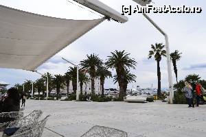 [P10] Split- faleza marii Adriatice » foto by Gabi Georgeta
 - 
<span class="allrVoted glyphicon glyphicon-heart hidden" id="av505398"></span>
<a class="m-l-10 hidden" id="sv505398" onclick="voting_Foto_DelVot(,505398,415)" role="button">șterge vot <span class="glyphicon glyphicon-remove"></span></a>
<a id="v9505398" class=" c-red"  onclick="voting_Foto_SetVot(505398)" role="button"><span class="glyphicon glyphicon-heart-empty"></span> <b>LIKE</b> = Votează poza</a> <img class="hidden"  id="f505398W9" src="/imagini/loader.gif" border="0" /><span class="AjErrMes hidden" id="e505398ErM"></span>