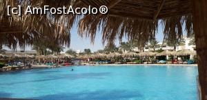 [P02] Octombrie 2019 » foto by Max70
 - 
<span class="allrVoted glyphicon glyphicon-heart hidden" id="av1119851"></span>
<a class="m-l-10 hidden" id="sv1119851" onclick="voting_Foto_DelVot(,1119851,418)" role="button">șterge vot <span class="glyphicon glyphicon-remove"></span></a>
<a id="v91119851" class=" c-red"  onclick="voting_Foto_SetVot(1119851)" role="button"><span class="glyphicon glyphicon-heart-empty"></span> <b>LIKE</b> = Votează poza</a> <img class="hidden"  id="f1119851W9" src="/imagini/loader.gif" border="0" /><span class="AjErrMes hidden" id="e1119851ErM"></span>