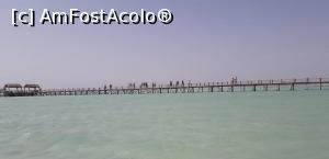 [P05]  -- <small>// FĂRĂ DESCRIERE</small> » foto by Max70
 - 
<span class="allrVoted glyphicon glyphicon-heart hidden" id="av1119854"></span>
<a class="m-l-10 hidden" id="sv1119854" onclick="voting_Foto_DelVot(,1119854,418)" role="button">șterge vot <span class="glyphicon glyphicon-remove"></span></a>
<a id="v91119854" class=" c-red"  onclick="voting_Foto_SetVot(1119854)" role="button"><span class="glyphicon glyphicon-heart-empty"></span> <b>LIKE</b> = Votează poza</a> <img class="hidden"  id="f1119854W9" src="/imagini/loader.gif" border="0" /><span class="AjErrMes hidden" id="e1119854ErM"></span>