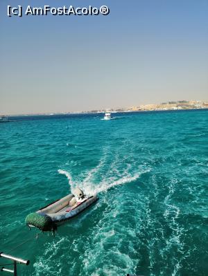 [P01]  -- <small>// FĂRĂ DESCRIERE</small> » foto by MonikIs
 - 
<span class="allrVoted glyphicon glyphicon-heart hidden" id="av1128522"></span>
<a class="m-l-10 hidden" id="sv1128522" onclick="voting_Foto_DelVot(,1128522,418)" role="button">șterge vot <span class="glyphicon glyphicon-remove"></span></a>
<a id="v91128522" class=" c-red"  onclick="voting_Foto_SetVot(1128522)" role="button"><span class="glyphicon glyphicon-heart-empty"></span> <b>LIKE</b> = Votează poza</a> <img class="hidden"  id="f1128522W9" src="/imagini/loader.gif" border="0" /><span class="AjErrMes hidden" id="e1128522ErM"></span>