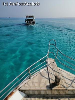 [P11]  -- <small>// FĂRĂ DESCRIERE</small> » foto by MonikIs
 - 
<span class="allrVoted glyphicon glyphicon-heart hidden" id="av1128532"></span>
<a class="m-l-10 hidden" id="sv1128532" onclick="voting_Foto_DelVot(,1128532,418)" role="button">șterge vot <span class="glyphicon glyphicon-remove"></span></a>
<a id="v91128532" class=" c-red"  onclick="voting_Foto_SetVot(1128532)" role="button"><span class="glyphicon glyphicon-heart-empty"></span> <b>LIKE</b> = Votează poza</a> <img class="hidden"  id="f1128532W9" src="/imagini/loader.gif" border="0" /><span class="AjErrMes hidden" id="e1128532ErM"></span>