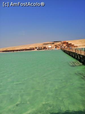 [P02]  -- <small>// FĂRĂ DESCRIERE</small> » foto by MonikIs
 - 
<span class="allrVoted glyphicon glyphicon-heart hidden" id="av1128523"></span>
<a class="m-l-10 hidden" id="sv1128523" onclick="voting_Foto_DelVot(,1128523,418)" role="button">șterge vot <span class="glyphicon glyphicon-remove"></span></a>
<a id="v91128523" class=" c-red"  onclick="voting_Foto_SetVot(1128523)" role="button"><span class="glyphicon glyphicon-heart-empty"></span> <b>LIKE</b> = Votează poza</a> <img class="hidden"  id="f1128523W9" src="/imagini/loader.gif" border="0" /><span class="AjErrMes hidden" id="e1128523ErM"></span>